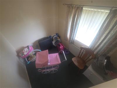 Picture 13